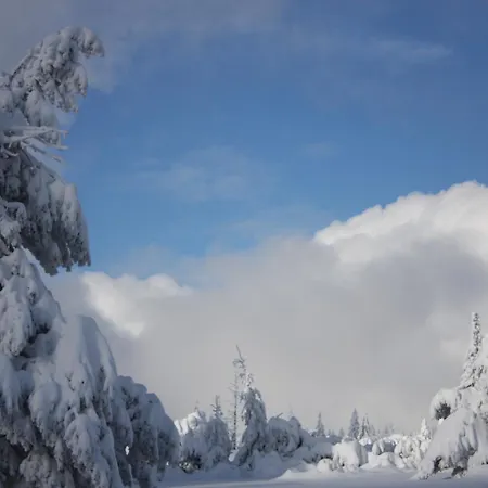 Kuckuckslockennest 아파트 제바흐