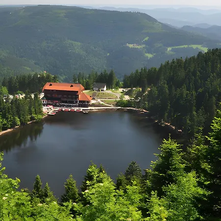 Kuckuckslockennest *