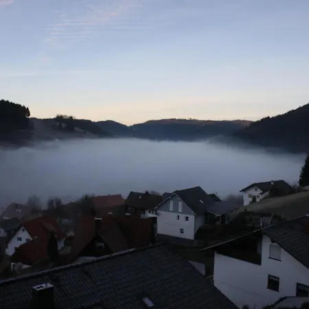 Kuckuckslockennest * Seebach