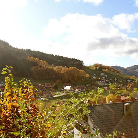 Kuckuckslockennest