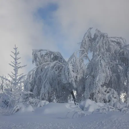 아파트 Kuckuckslockennest *