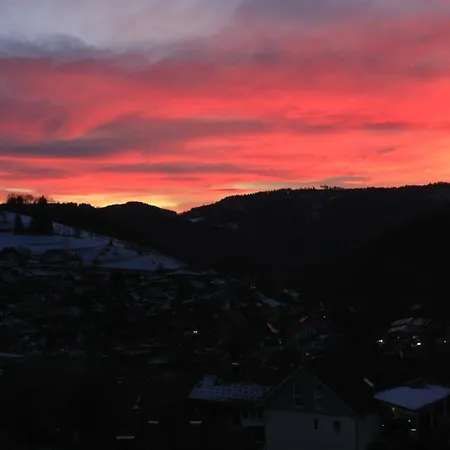 Kuckuckslockennest * Seebach