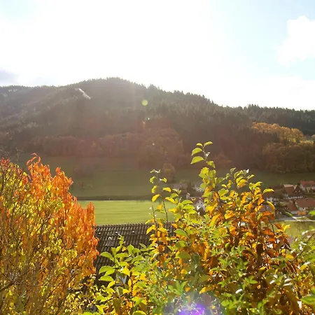 Kuckuckslockennest * Seebach
