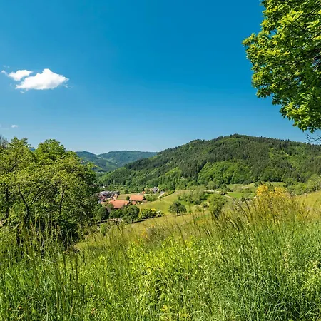 Kuckuckslockennest *